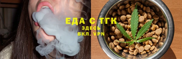 хмурый Аркадак