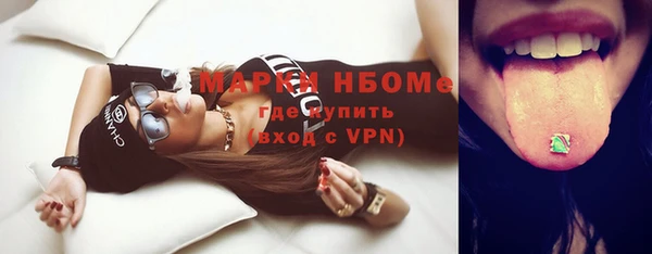 хмурый Аркадак
