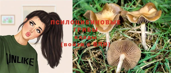 спиды Арсеньев